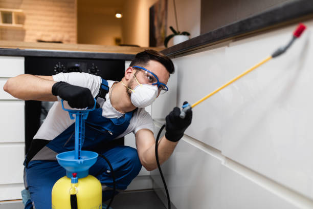 Best Pest Removal Services  in Mead, WA