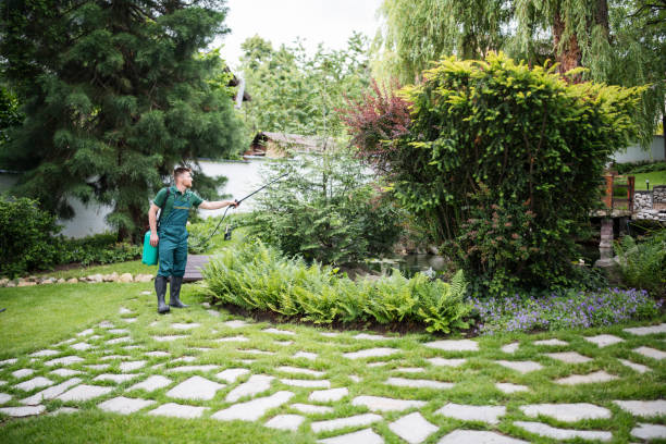 Best Exterminator Services  in Mead, WA