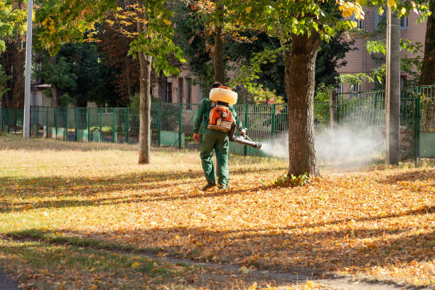 Best Bed Bug Extermination  in Mead, WA
