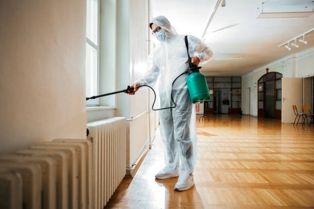 Best Exterminator Services  in Mead, WA
