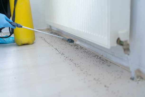Best Wildlife Control Services  in Mead, WA