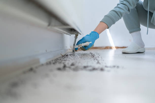 Best Pest Control Cost  in Mead, WA
