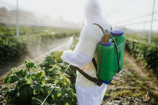 Best Cockroach Control Services  in Mead, WA